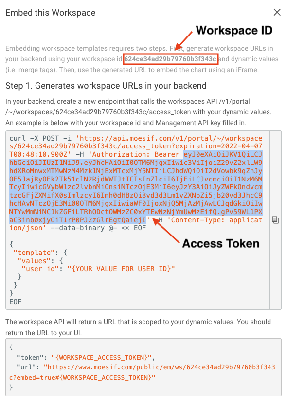 access token and workspace Id in Moesif Embedded template output